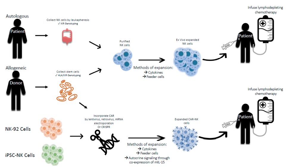 Fig.1 NK cell therapy solutions. (Quamine, et al., 2021)